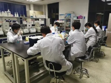 水稻表观遗传课题组员工日常科研活动